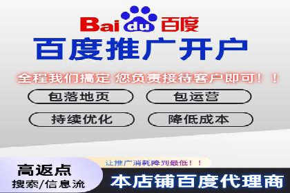 竞价托管sem的胜利果实：某零售商的营销策略